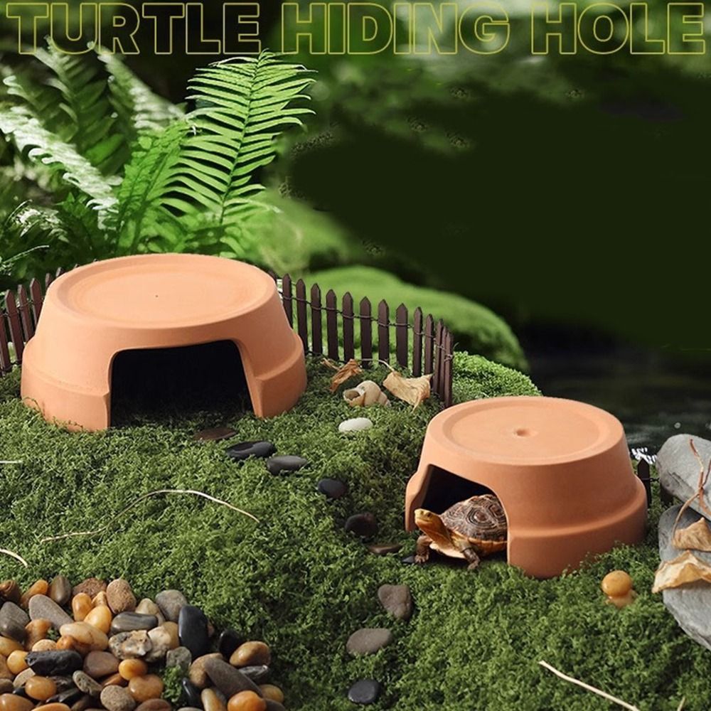 Multifunctional Ceramics Repti - Hide Cave Ceramic recension och pris