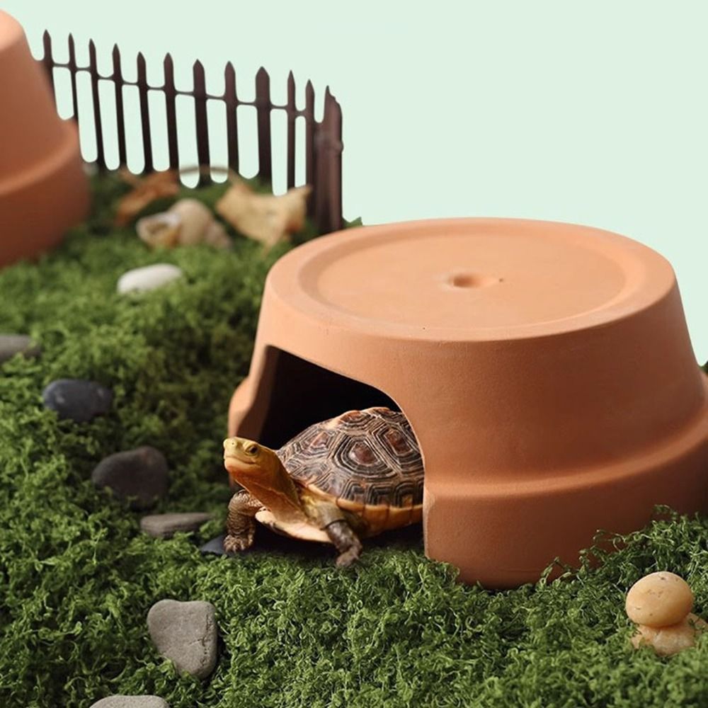 Multifunctional Ceramics Repti - Hide Cave Ceramic recension och pris