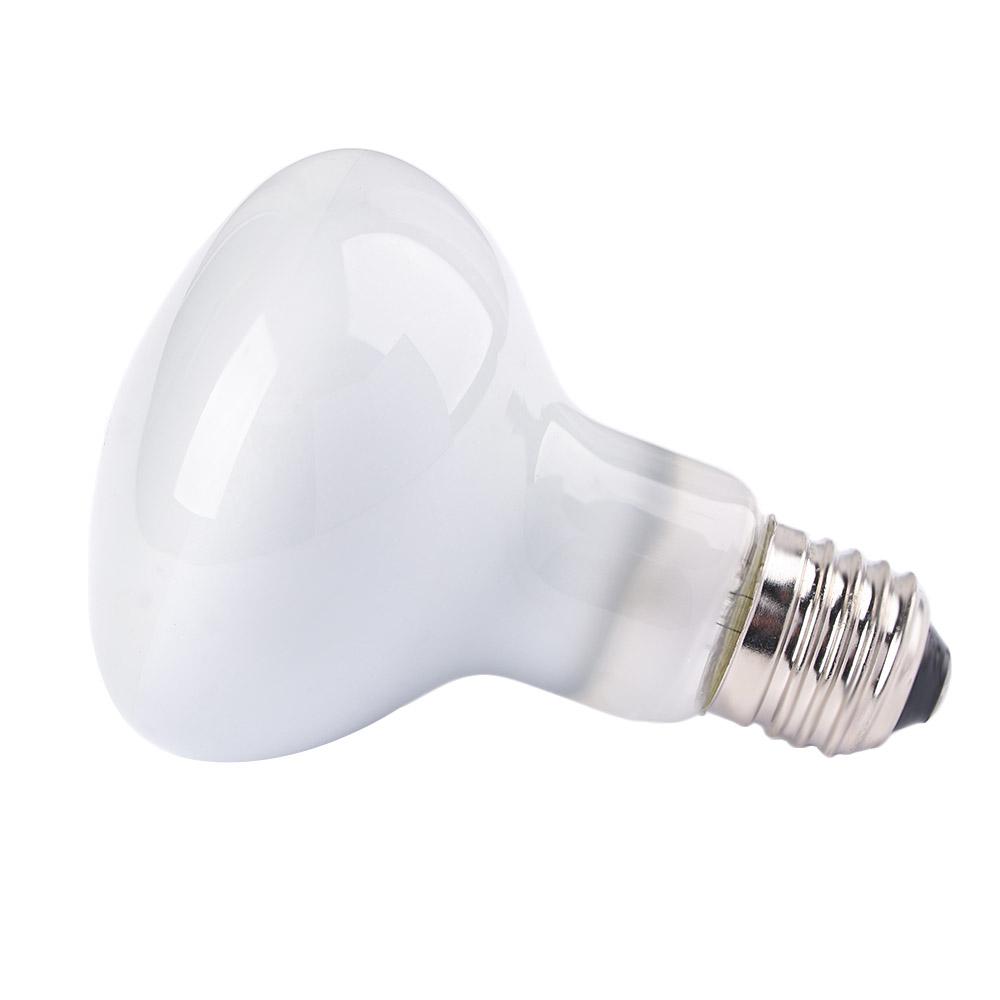 Lizard Heater Heat Lamp UVA Li - Basking Bulb Halogen recension och pris