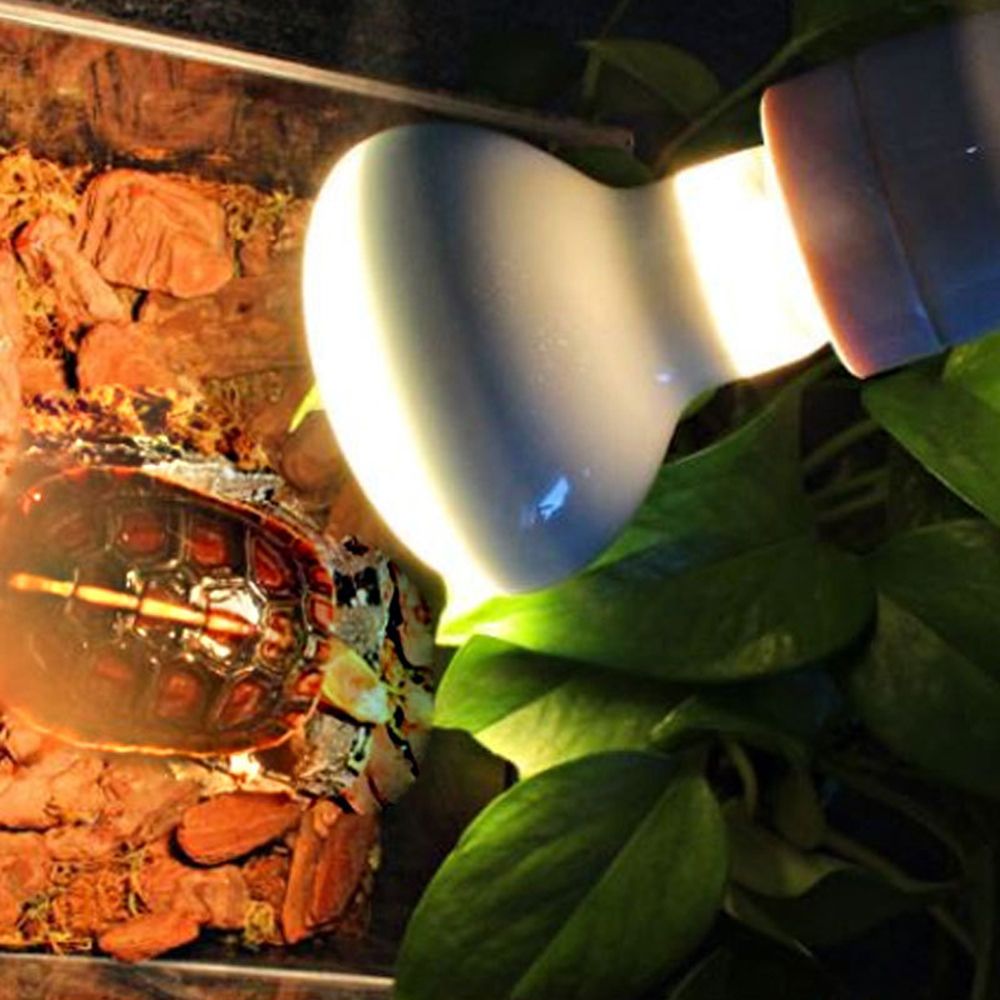 Lizard Heater Temperature Cont - Basking Bulb Halogen recension och pris