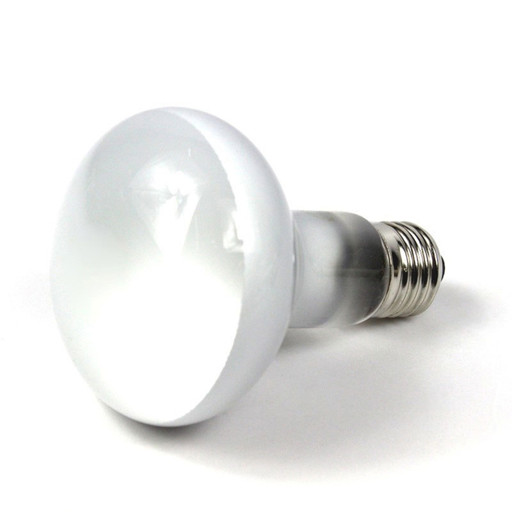 Lizard Heater Temperature Cont - Basking Bulb Halogen recension och pris