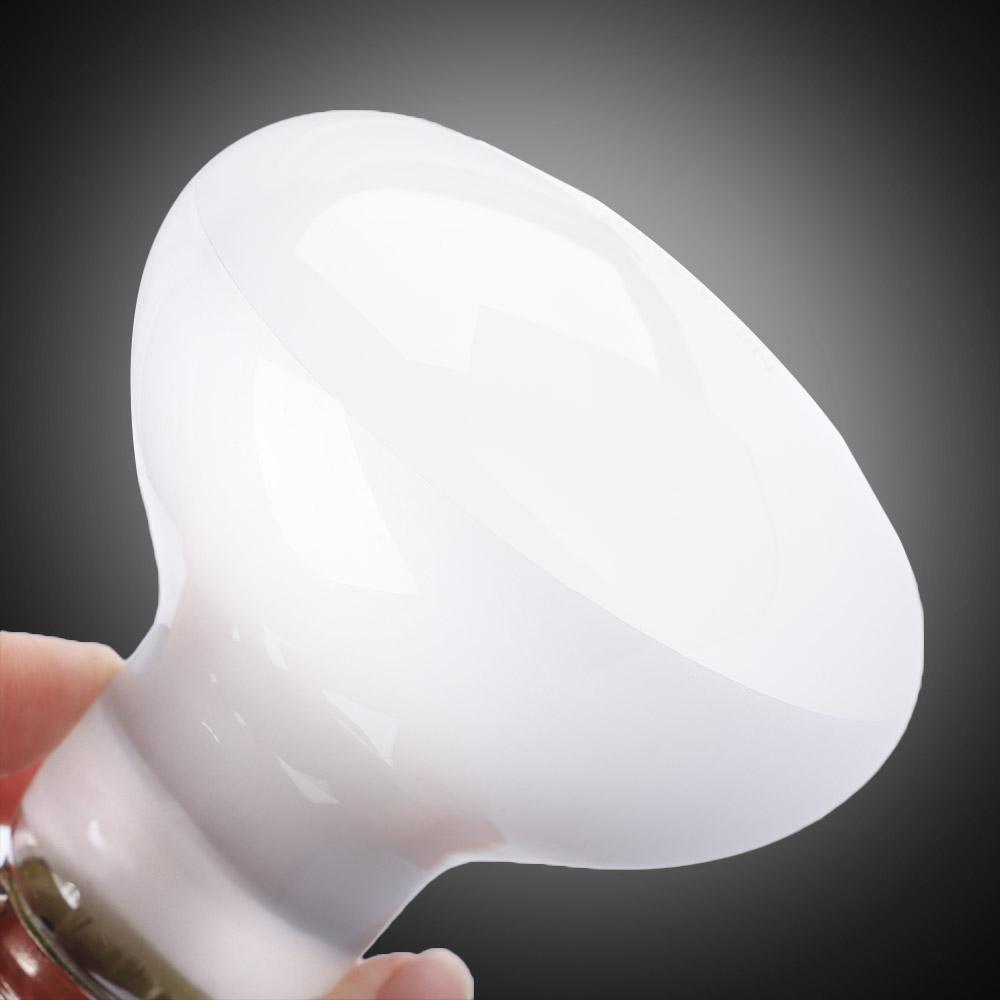 Lizard Heater Temperature Cont - Basking Bulb Halogen recension och pris
