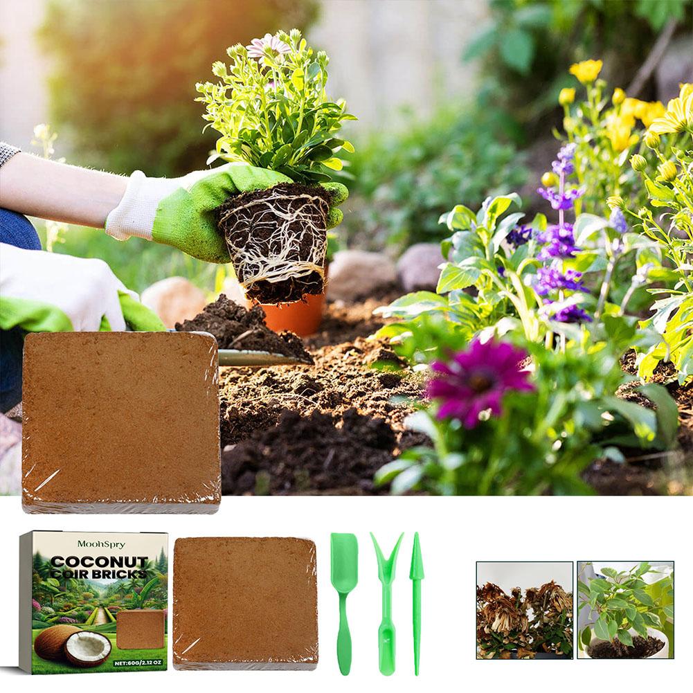 Reptile Coconut Soil Coir Pres - Substrate Coconut Fiber recension och pris