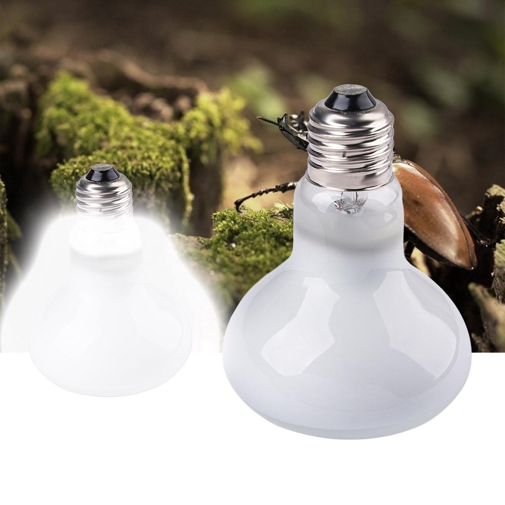 Lizard Temperature Controller  - Basking Bulb Halogen recension och pris