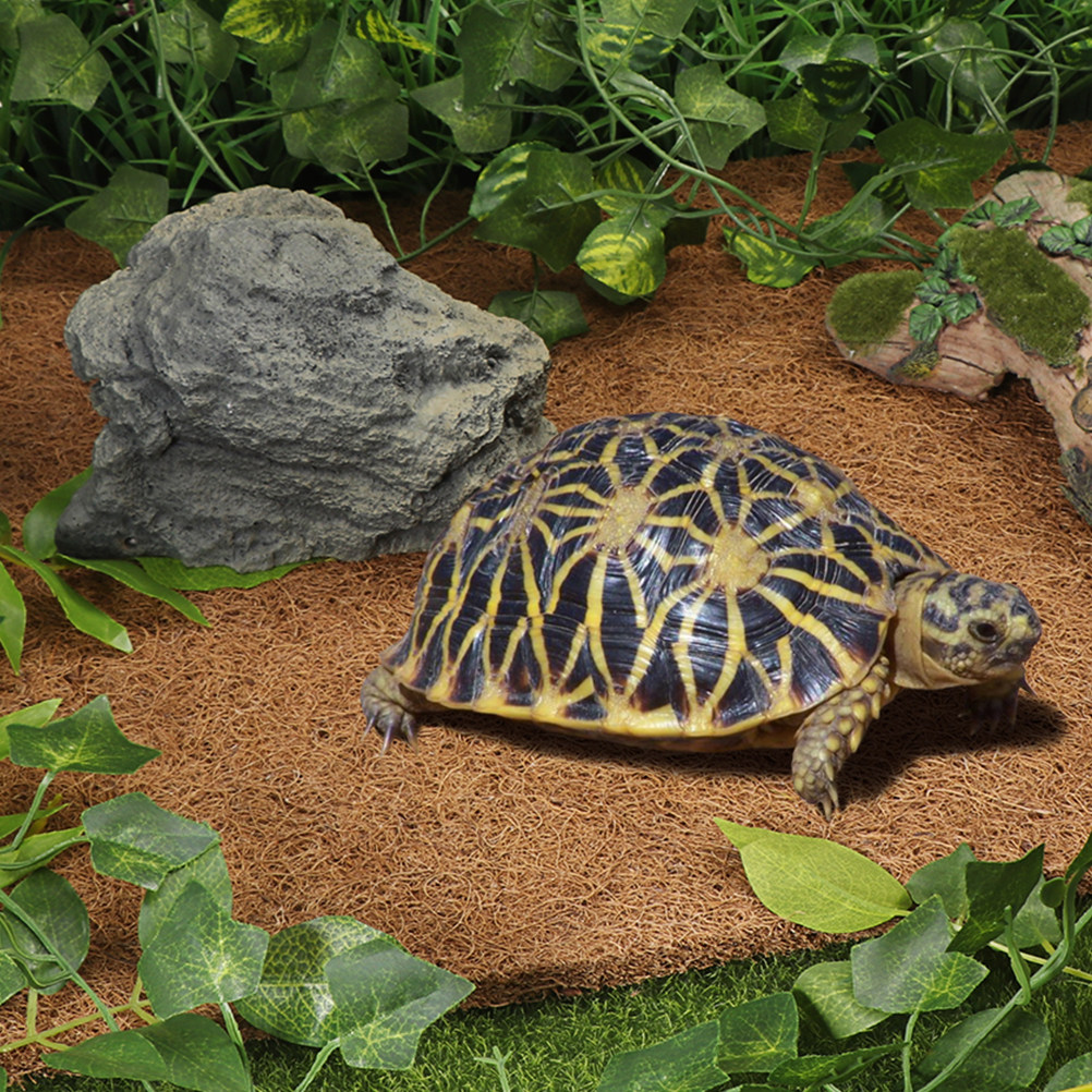 Coconut Substrate for Reptile  - Substrate Coconut Fiber recension och pris