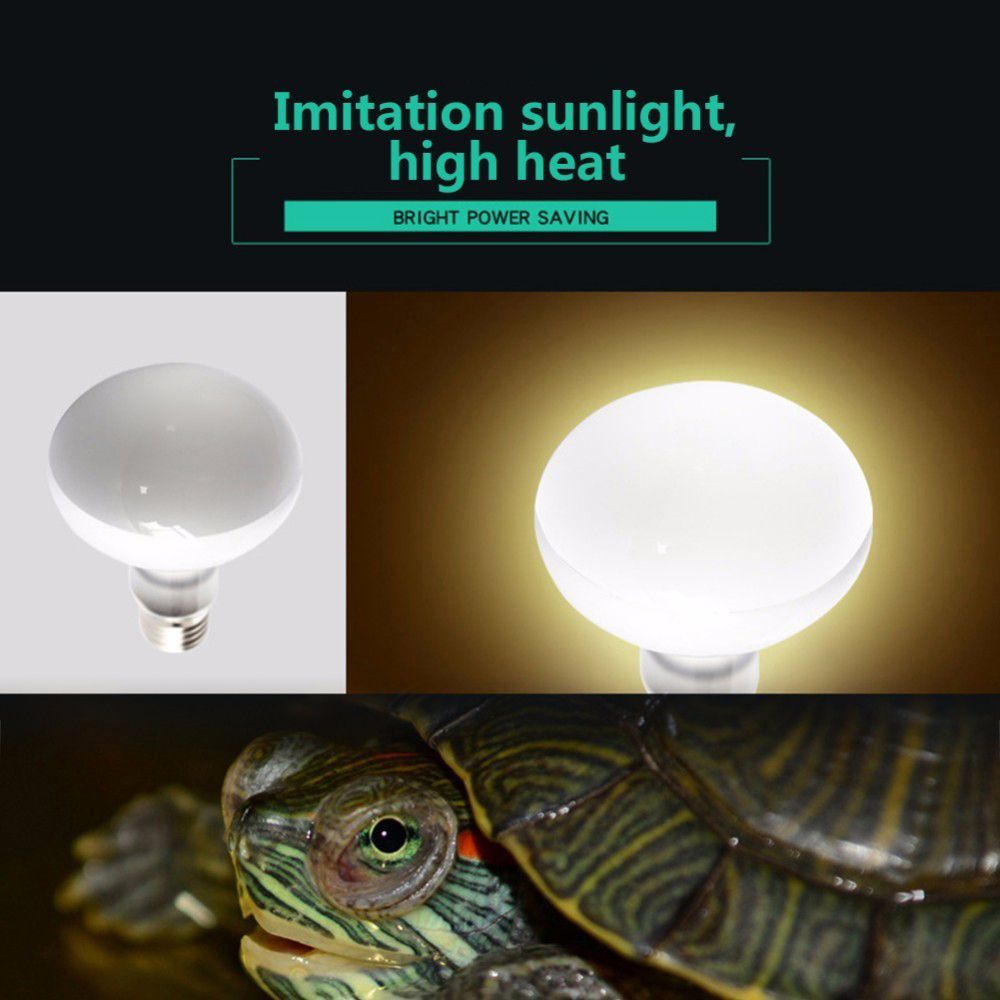 Amphibians Temperature Control - Basking Bulb Halogen recension och pris