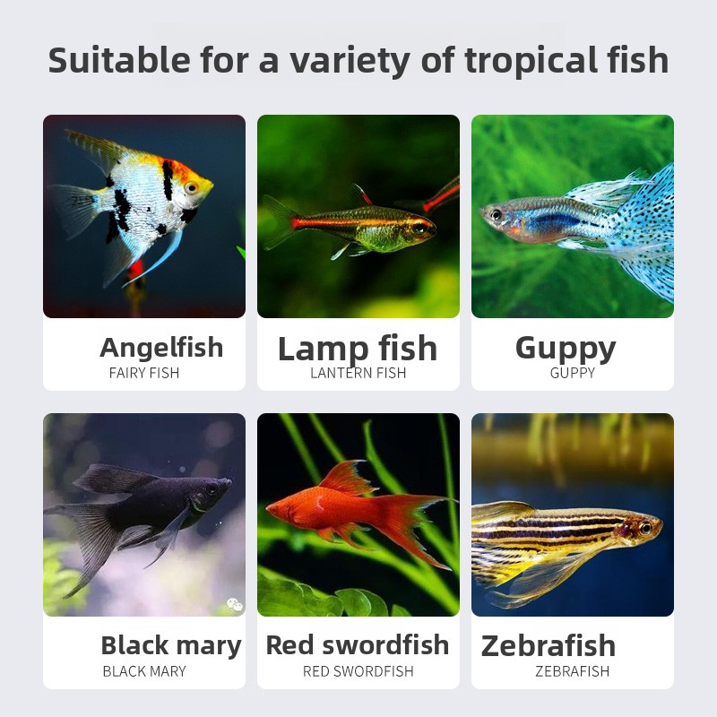 SUNSUN Premium Tropical Fish F - Tetra Food Tropical Flakes recension och pris