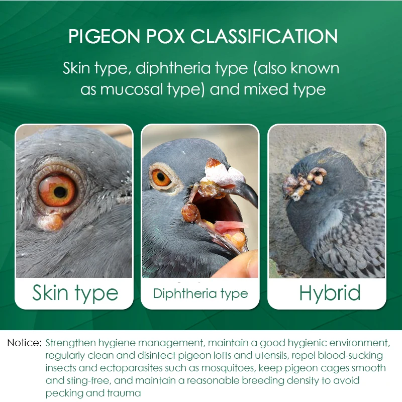 100 Tablets/Box Pigeon Pox Ora - Vitamin D3 Reptile recension och pris