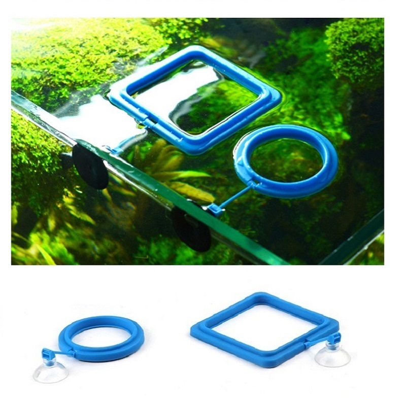Fish Feeding Ring Feeder Fishi - Tetra Food Tropical Flakes recension och pris