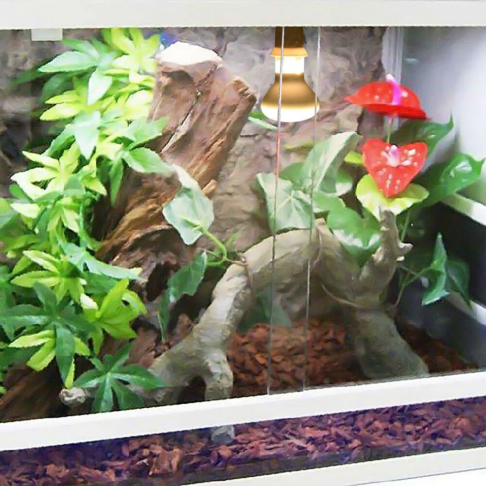 Turtle Temperature Controller  - Basking Bulb Halogen recension och pris