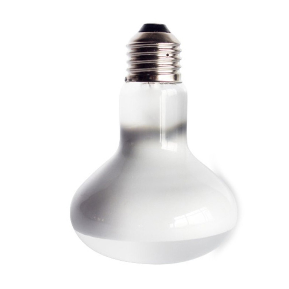 Lizard Heater Temperature Cont - Basking Bulb Halogen recension och pris