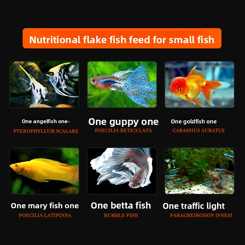DaJiaWa Spirulina Flake Fish F - Tetra Food Tropical Flakes recension och pris