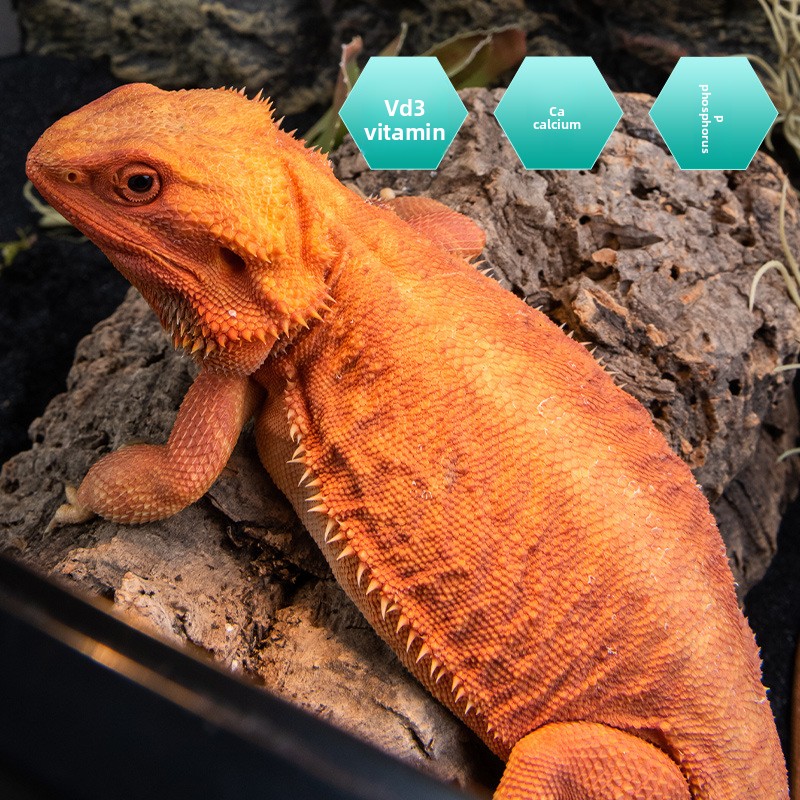 SuperRep Reptile Calcium Pro-V - Vitamin D3 Reptile recension och pris