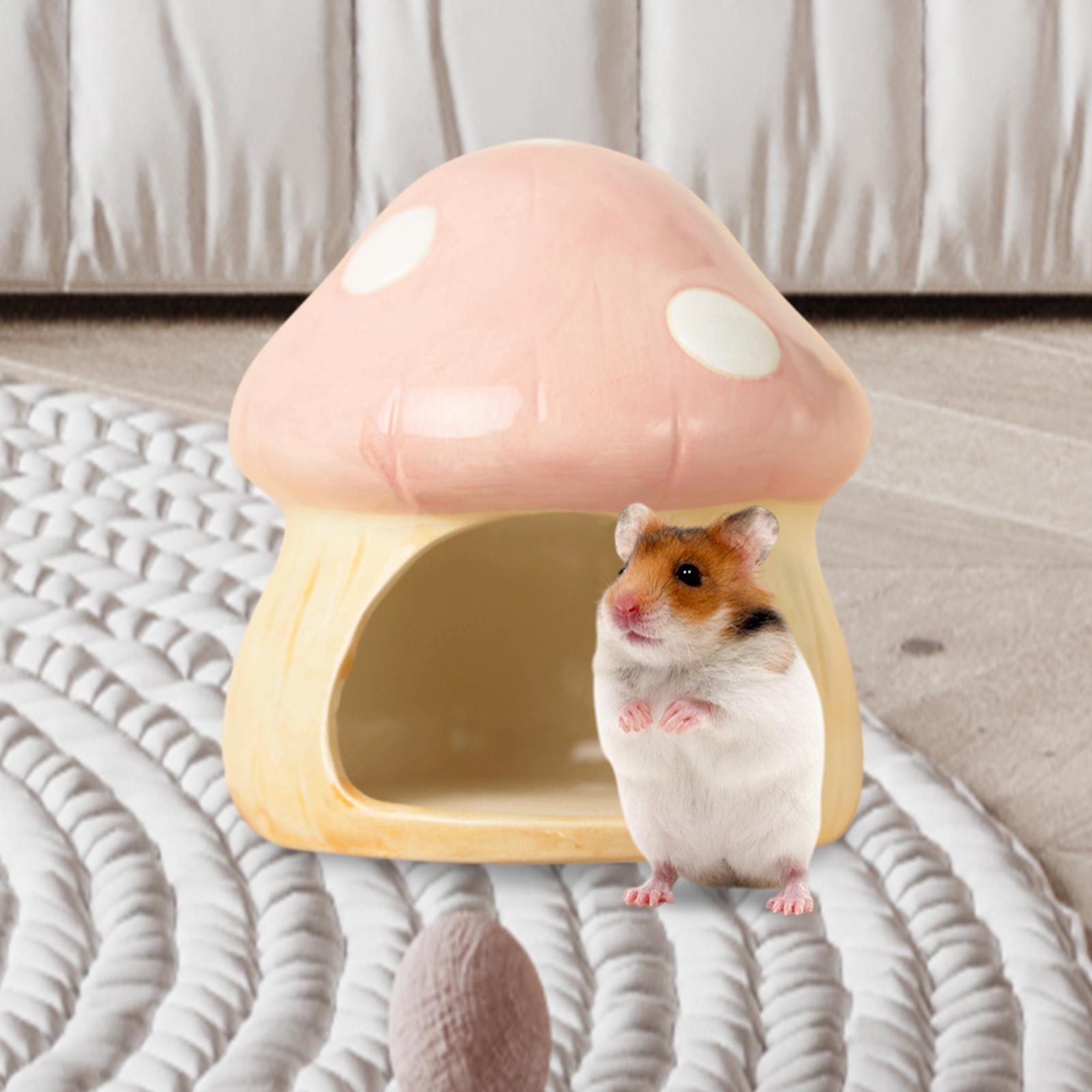Ceramic Mushroom Hamster Hideo - Hide Cave Ceramic recension och pris