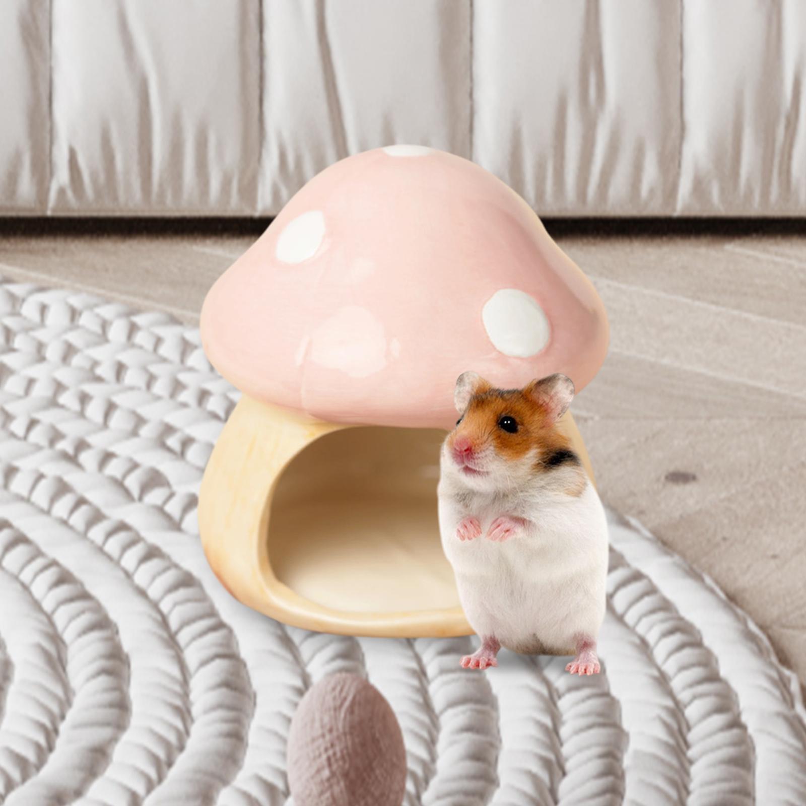 Ceramic Mushroom Hamster Hideo - Hide Cave Ceramic recension och pris