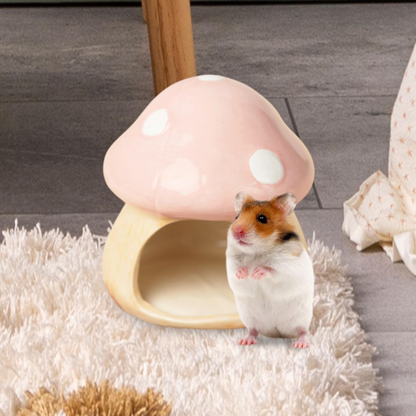 Ceramic Mushroom Hamster Hideo - Hide Cave Ceramic recension och pris